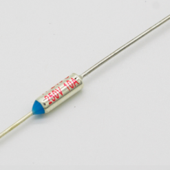fusible thermique 250V 10A.